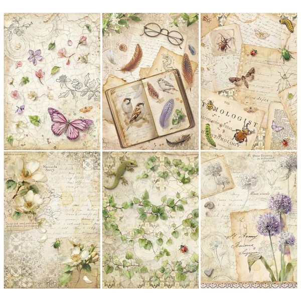 Assortiment de soies de paille à motifs « All Around », DIN A4, set de 6 pièces