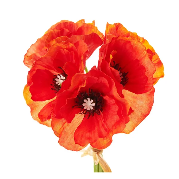 Bouquet de coquelicots, orange