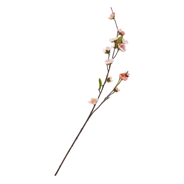 Branche de fleurs de cerisier « Peach »