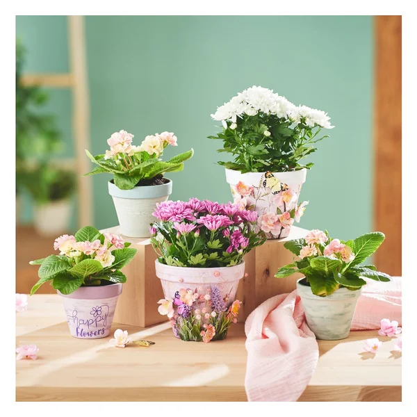 Branche de fleurs de cerisier « Peach »
