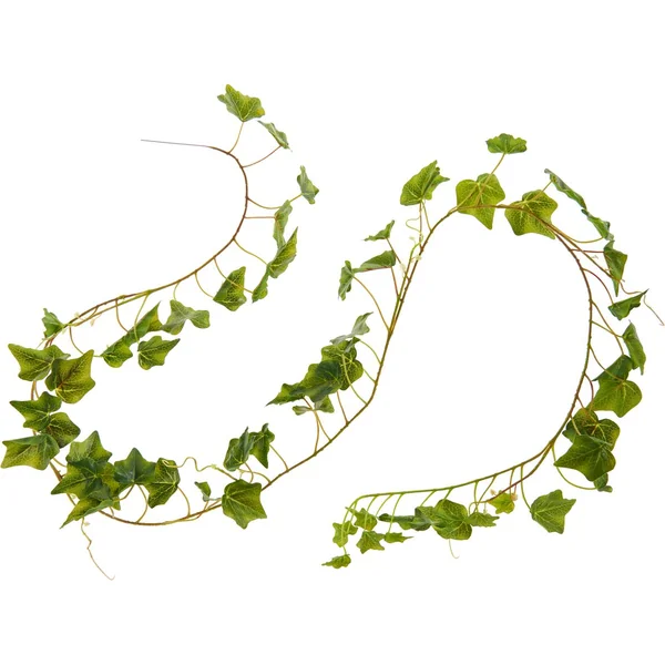 Guirlande de lierre « Greenery »