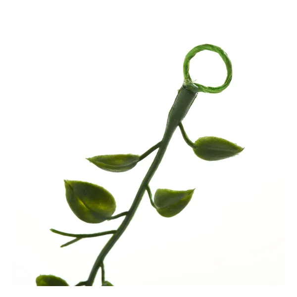 Guirlande de lierre « Greenery »