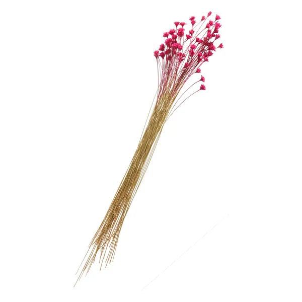 Hillflower