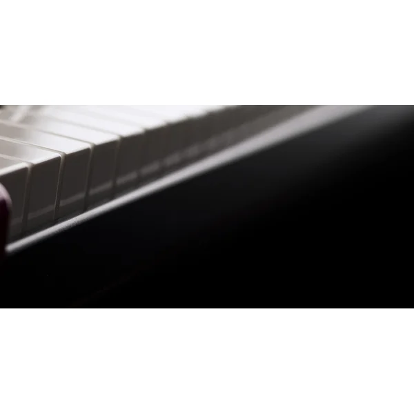 Nord Lead A1