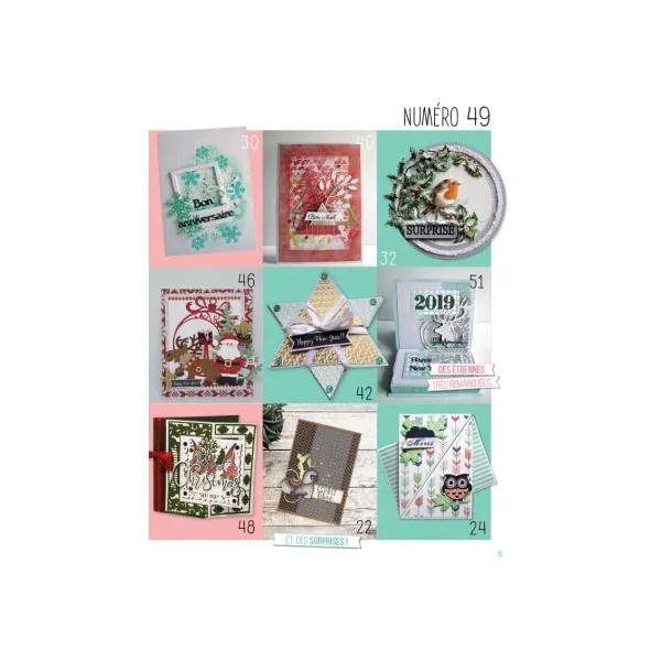 Passion Cartes Créatives 49 + EN CADEAU 16 planches pour créer vos cartes