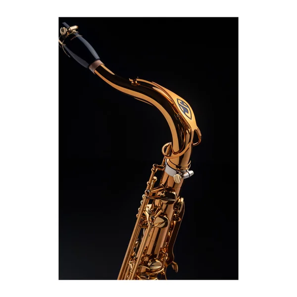 Saxophone Ténor Supreme - Selmer