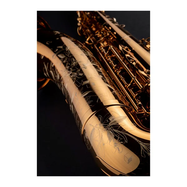 Saxophone Ténor Supreme - Selmer