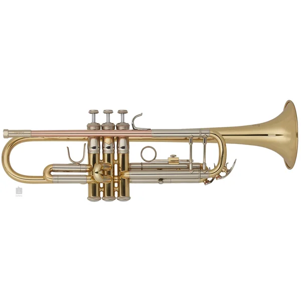 Trompette Sib Bach TR501 Verni